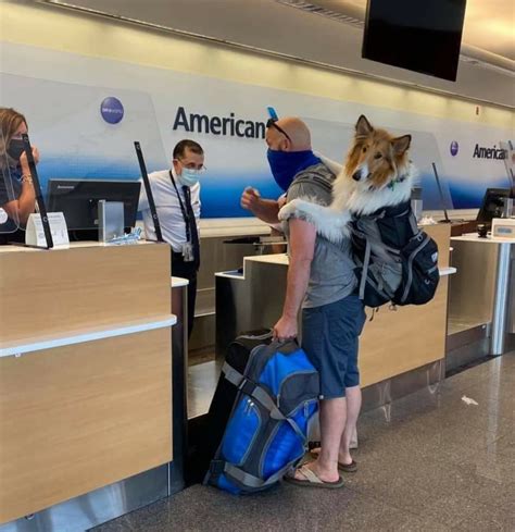 how strict are american airlines with pet carry on size