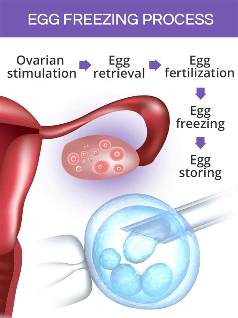 how successful is egg freezing