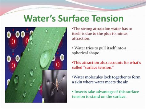 How Surface Tension Affect Solubility