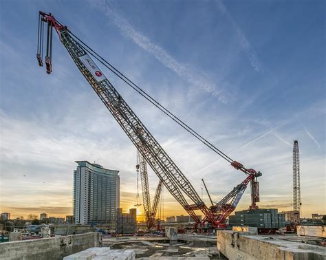 how tall are cranes