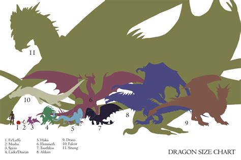 how tall are dragons in dnd