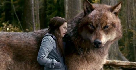 how tall are the werewolves in twilight