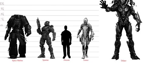 how tall is a spartan
