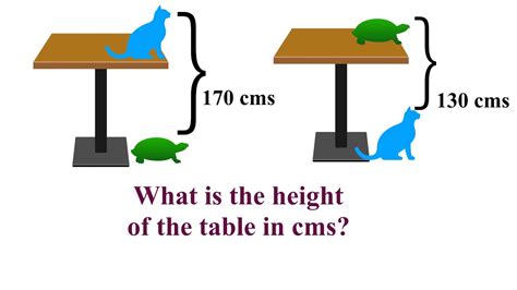 How Tall Is Table Question