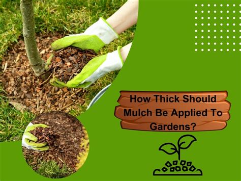 How Thick Should Mulch Layer Be
