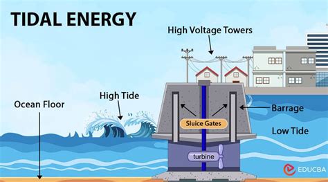How Tidal Energy Generated (The Essential Guide)