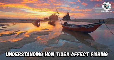 How Tides Affect Fishing: The Ultimate Guide To Timing & Bait