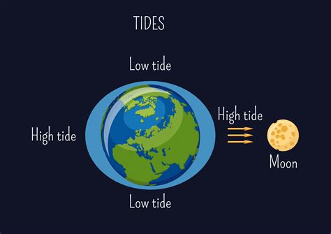 How Tides Work Video