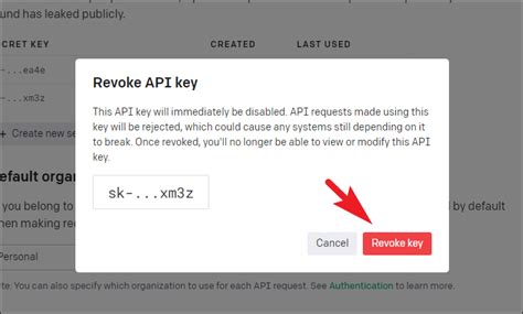 how to access api key openai