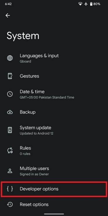 how to access developer options on android 12
