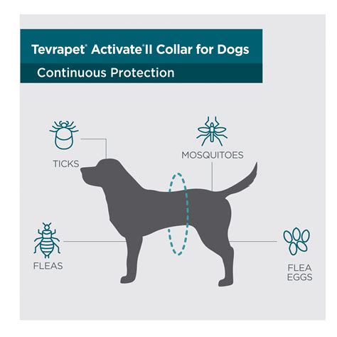 How To Activate Flea Collar