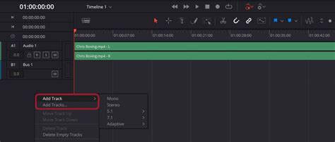 How To Add Audio Track In Davinci Resolve