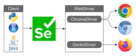 how to add chrome driver path in selenium python