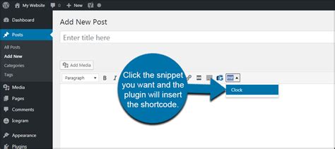 how to add code snippet in wordpress post
