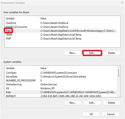 how to add environment variable in python script