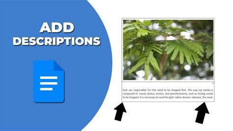 how to add image description in google docs