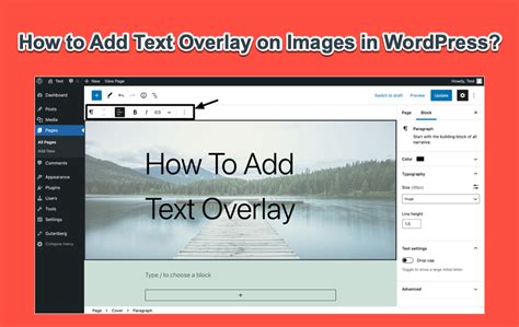 how to add text in wordpress