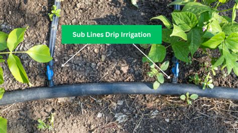 How To Add To Irrigation Line