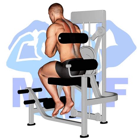 How To Adjust Back Extension Machine