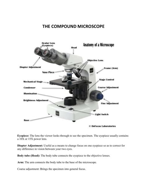 How To Adjust Compound Microscope