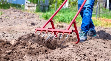 How To Aerate Compacted Garden Soil