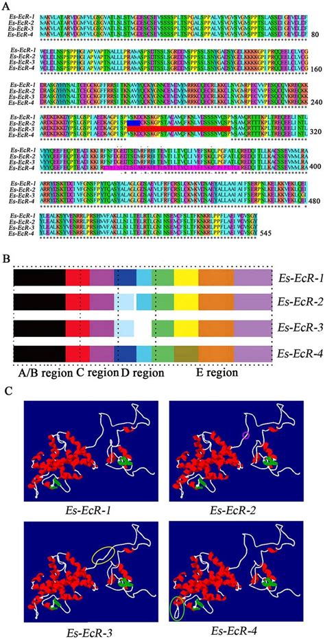How To Align Protein Sequences