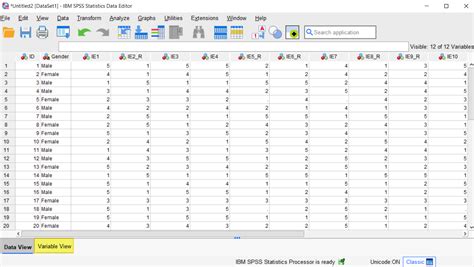 how to analyze likert scale data in spss pdf