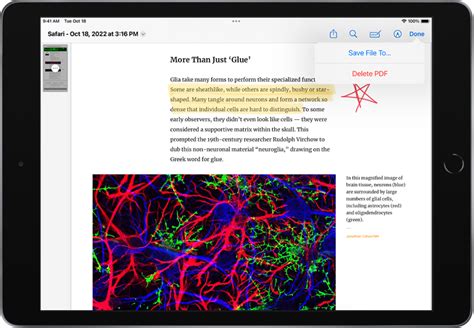 How To Annotate On Safari Ipad