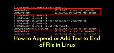 how to append text to a file in linux