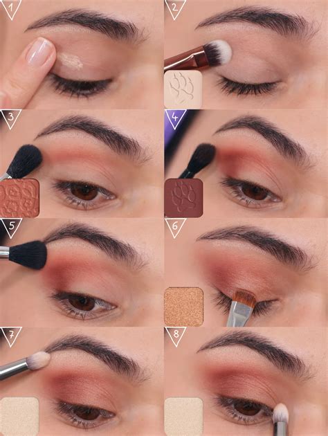 how to apply eyeshadow basic