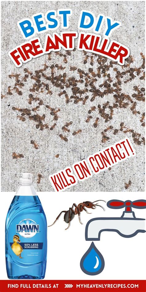 how to apply fire ant killer