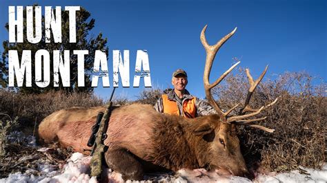 how to apply for montana elk preference point