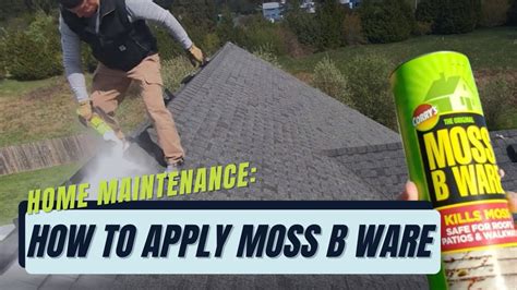 How To Apply Moss B Ware