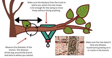 How To Attach A Tree Swing