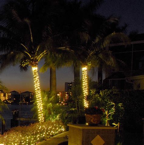 How To Attach String Lights To A Palm Tree