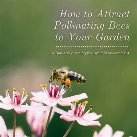 How To Attract Pollinating Bees