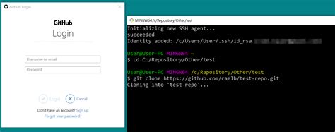 how to authenticate git bash with github