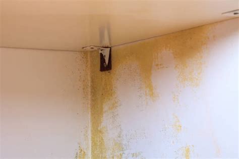 How To Avoid Damp In Wardrobe