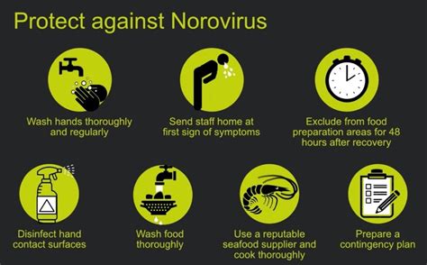 how to avoid getting the norovirus