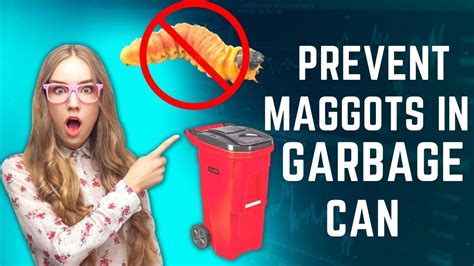 How To Avoid Maggots In Garbage