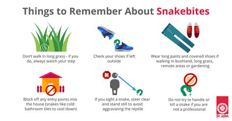 How To Avoid Snake Bites