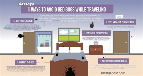 How To Avoid Spreading Bed Bugs When You Travel