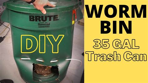 How To Avoid Worms In The Bin