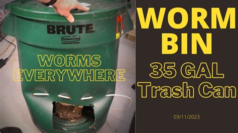 How To Avoid Worms In Trash Can