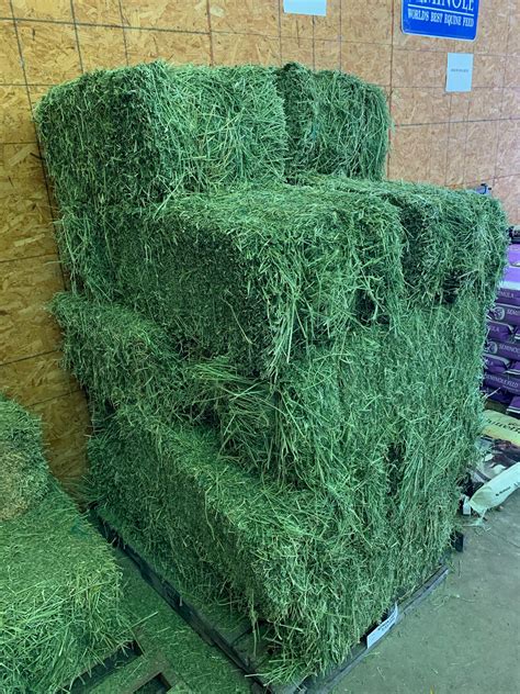 how to bale alfalfa hay