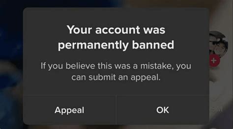 how to ban someone's tiktok account