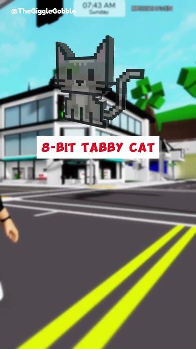 how to be a cat in roblox brookhaven