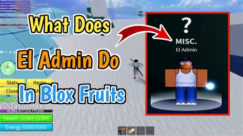 how to be admin in blox fruit