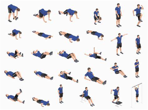 how to best fitness workout collection design tutorial tutorial tutorial