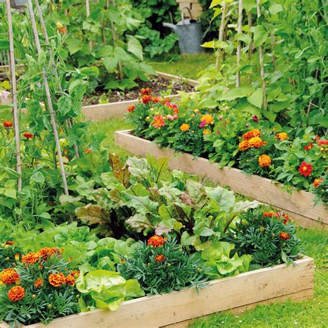 how to best garden ideas tips examples tips examples tutorial tutorial tutorial